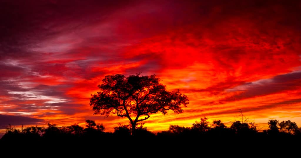 smuk solnedgang i kruger national park i sydafrika 1024x539